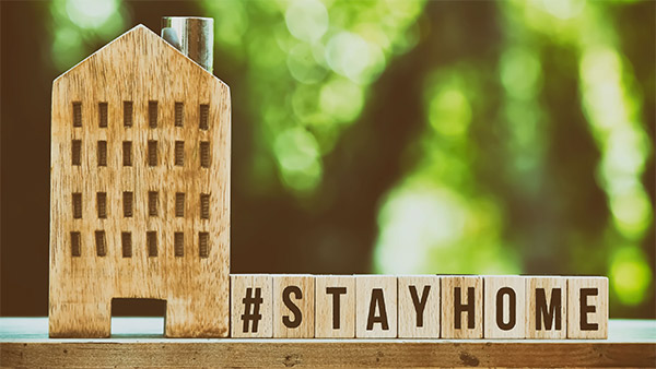 Realizations and Monetary Classes I Discovered After a Yr of Staying at Dwelling